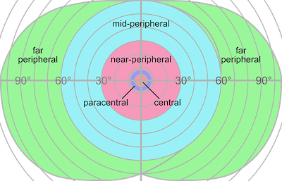 Fig. 2 — Human vision fields and degree. — Courtesy of Wikipedia.