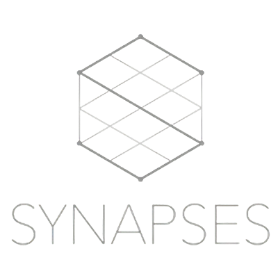 assets/images/synapses-logo-240x201.png